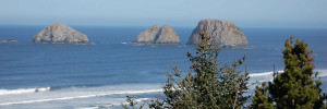Oregon Coast view